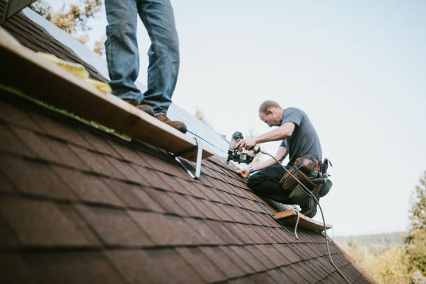 Roof Gutter Cleaning in Castle Shannon, PA